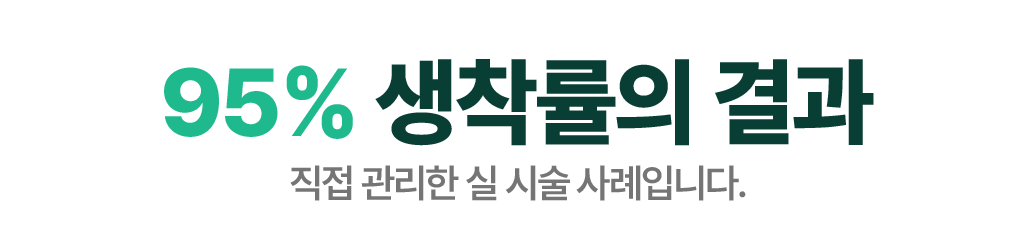 95% 생착률의 결과 — 직접 관리한 실 시술 사례입니다.